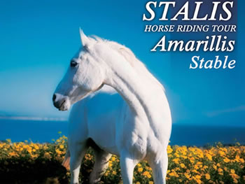 Paardrijden op Kreta met Eye Travel